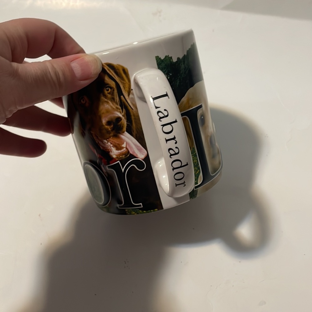 Labrador Americaware Mug 2007 - Picture 6 of 7